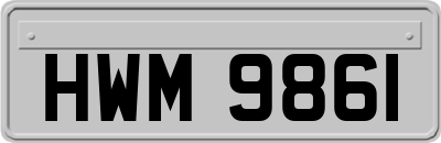HWM9861