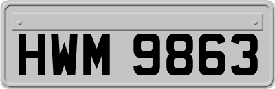 HWM9863