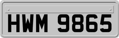 HWM9865