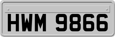 HWM9866