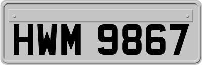 HWM9867