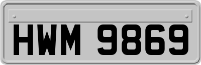 HWM9869