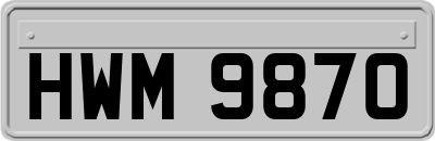 HWM9870