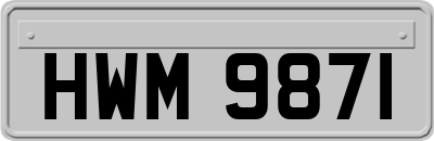 HWM9871