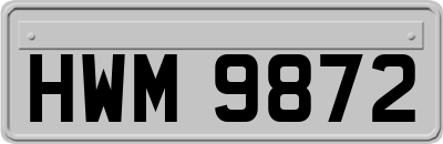 HWM9872