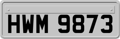HWM9873