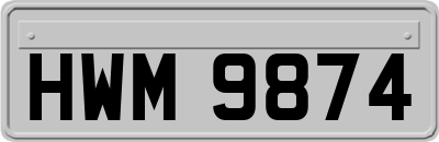 HWM9874