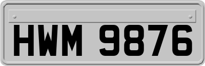 HWM9876