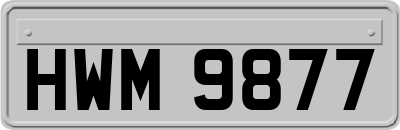 HWM9877
