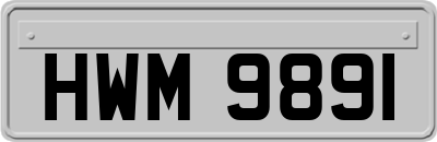 HWM9891