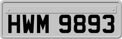 HWM9893