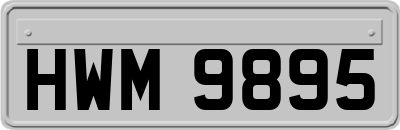 HWM9895