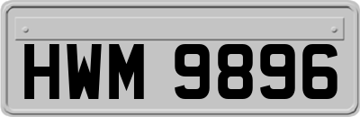 HWM9896