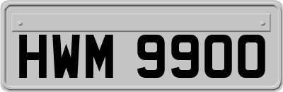 HWM9900