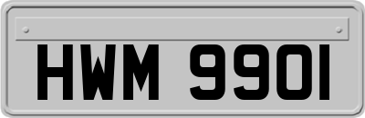 HWM9901