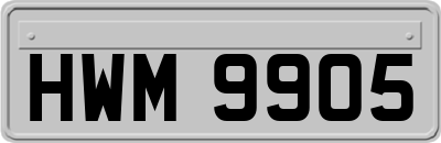 HWM9905