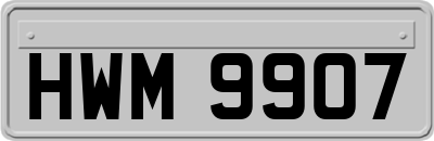 HWM9907