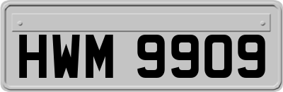 HWM9909
