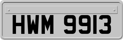HWM9913