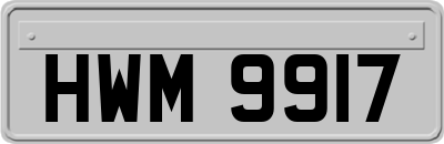 HWM9917