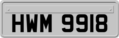 HWM9918