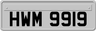 HWM9919