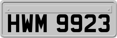 HWM9923
