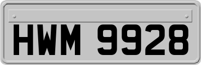 HWM9928
