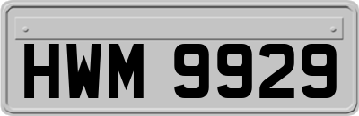 HWM9929