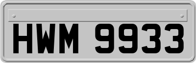 HWM9933