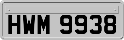 HWM9938