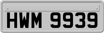 HWM9939