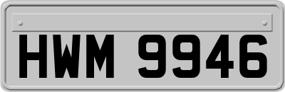 HWM9946