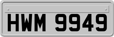 HWM9949
