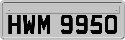 HWM9950