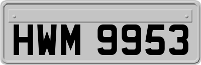 HWM9953