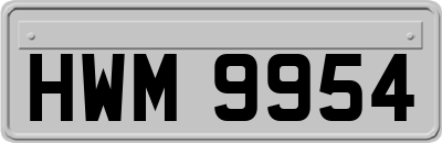 HWM9954