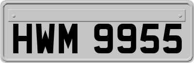 HWM9955