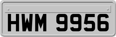 HWM9956