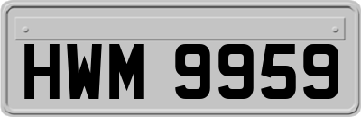 HWM9959