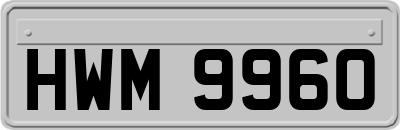 HWM9960