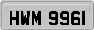 HWM9961