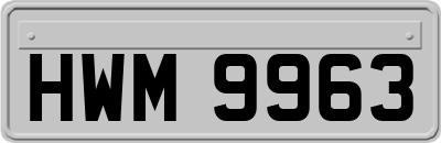 HWM9963