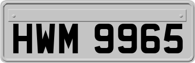 HWM9965