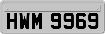 HWM9969