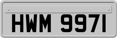 HWM9971