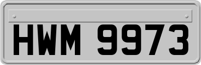HWM9973