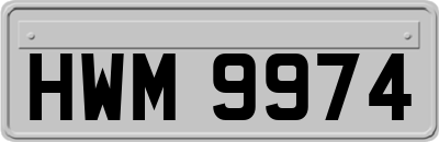 HWM9974
