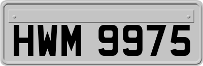 HWM9975