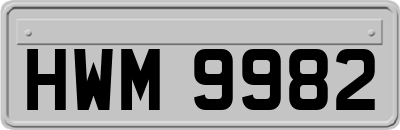 HWM9982